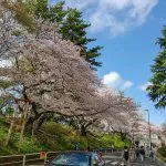 “SMART”から脱皮する、上智大学生学入門