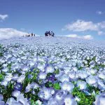 【受験】田舎者が上京受験を語る。【上京】